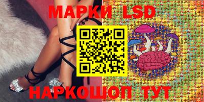 spice Кулебаки